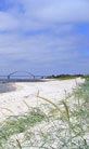 Reiten in der Ostsee, im Hintergrund die Fehmarnsundbrücke Reiten in der Ostsee, im Hintergrund die Fehmarnsundbrücke